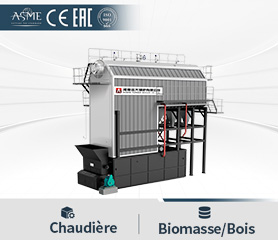 Chaudi&egrave;re &agrave; Biomasse &agrave; Tubes Eau
