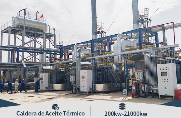 Caldera de Aceite T&eacute;rmico a Gas y Fuel Oil