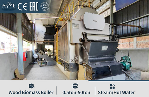 biomass boiler for food factory,coal steam boiler,wood steam boiler