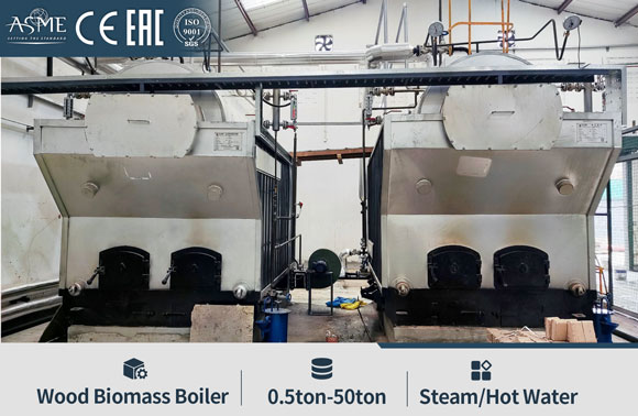 wood steam boiler,firewood steam boiler,woodchips steam boiler