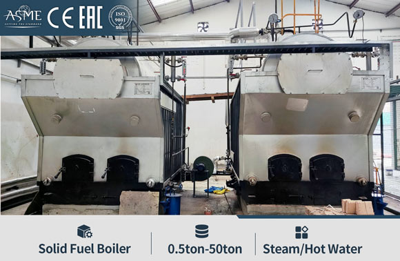 Steam Boiler for Mushroom Cultivation