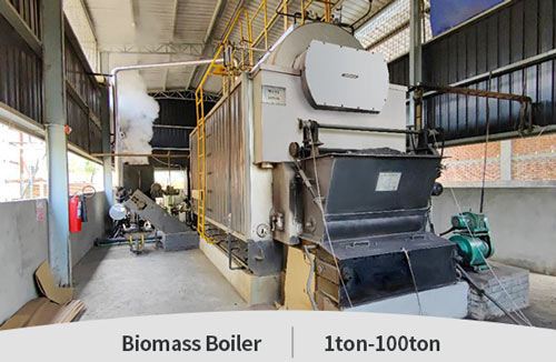 chain grate biomass boiler