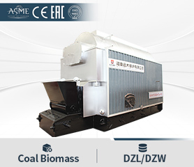 Solid Fuel Biomass Boiler