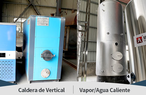 Caldera Pequeña de Biomasa