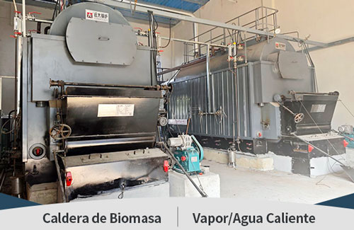 Caldera Automática de Biomasa