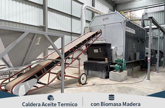 Caldera de aceite termico de biomasa