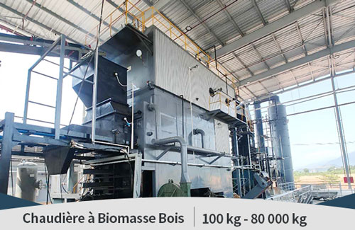 Chaudière Industrielle,Chaudière au Charbon Biomasse