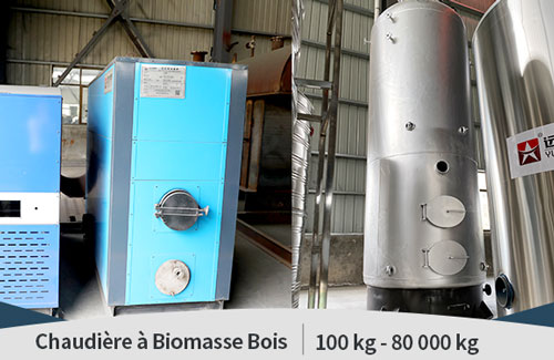 Petite chaudière à combustible solide