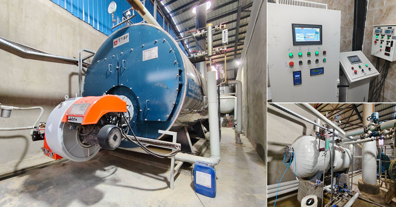 fire tube gas steam boiler in egypt