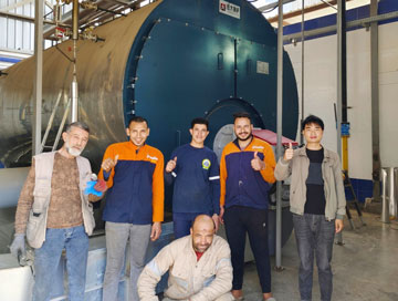 20ton steam boiler in egypt,fire tube boiler,gas boiler