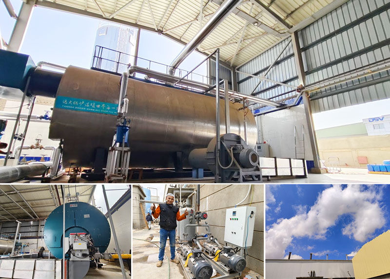 20ton gas fired steam boiler in egypt