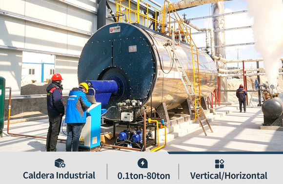 caldera vertical china,caldera gas vertical,caldera diesel vertical