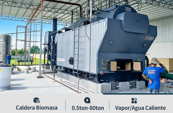 caldera vapor de biomasa,caldera bagazo,caldera lena madera