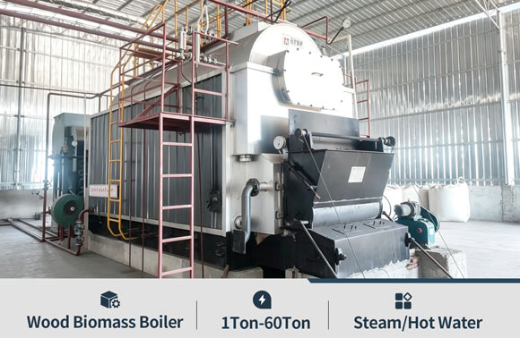 wood biomass boiler,palms shells boiler,ricehusk boiler