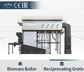 Reciprocating Grate Biomass Boiler