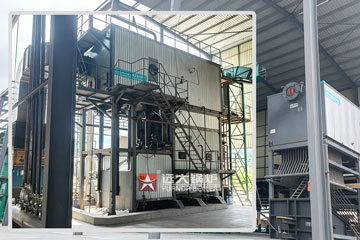 palm oil mill boiler,biomass fired boiler,palm fibre boiler