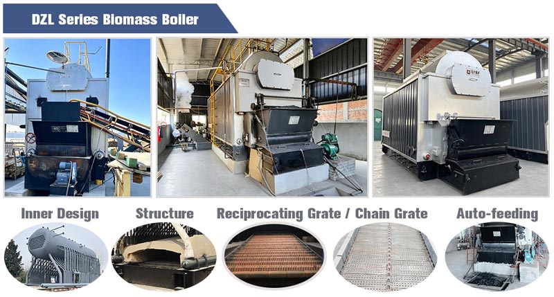 chain grate biomass boiler