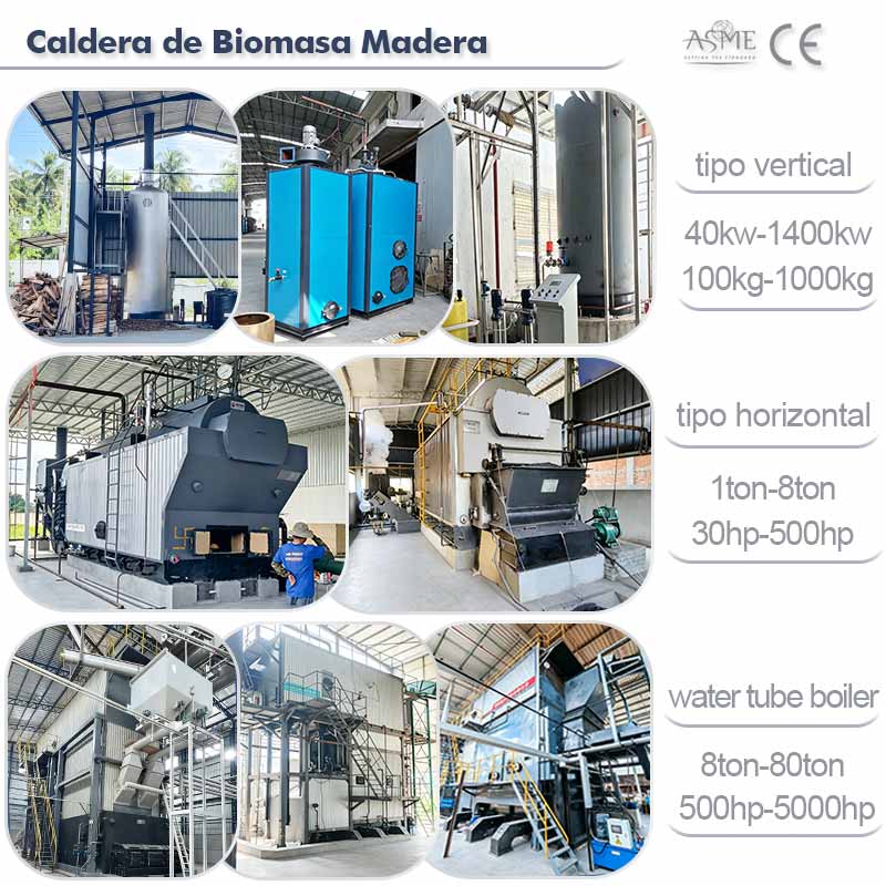 caldera de biomasa,caldera vapor de lena
