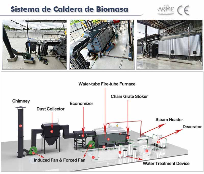 Sistema de caldera de biomasa DZW DZL