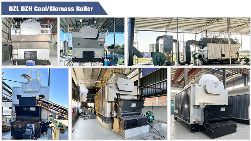 solid fuel boiler,coal biomass boiler