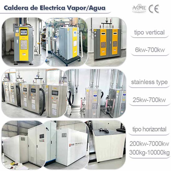 caldera vapor de electrica