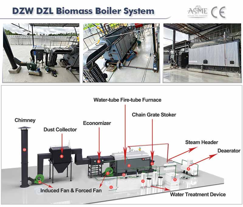 biomass boiler system,chain grate boiler