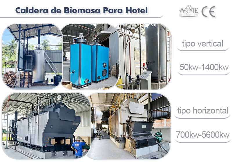 solid fuel boiler,laundry boiler,steam generator