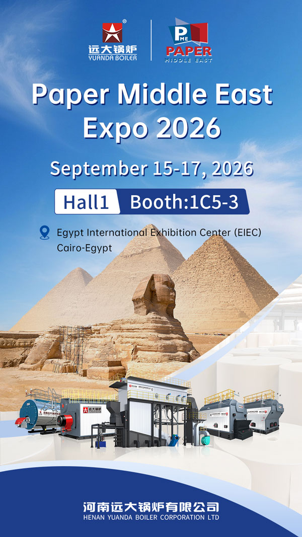 egypt paper industry steam boiler