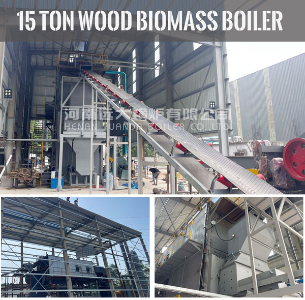 water tube biomass boiler,reciprocating grate boiler