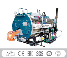 Industrial Biogas Fired Boiler