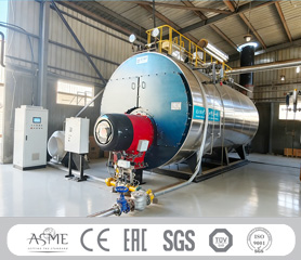 Fuel Lpg Gas Diesel Oil Fired Boiler