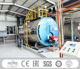 Lpg Gas Diesel Fuel Oil Boiler